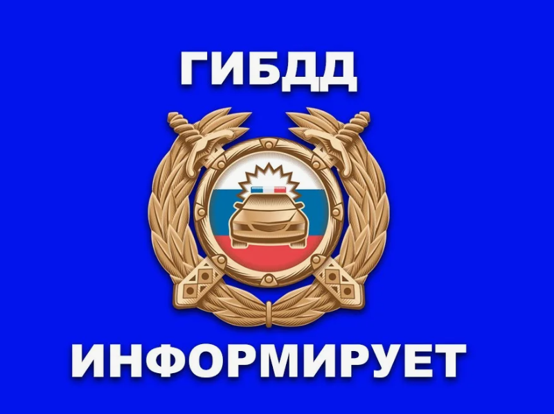 В летний период на территории Приволжского района стартует широкомасштабная информационно-пропагандистская социальная компания «Зеленая волна»..